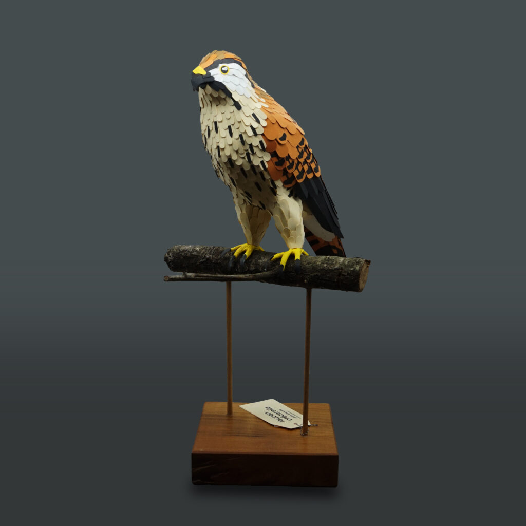 Oiseau, sculpture en papier, de Claire Muth Upermuth, disponible à L'Écrin
