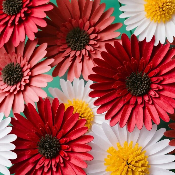 Fleurs en papier disponibles à Strasbourg dans la boutique de créateurs Le Générateur