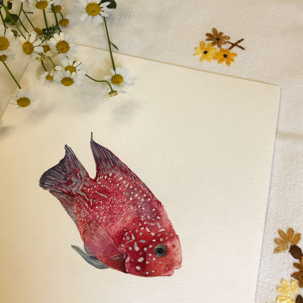 Poisson à l'aquarelle de Valérie Etterlen, illustratrice de Strasbourg, disponible dans le concept store Le Générateur