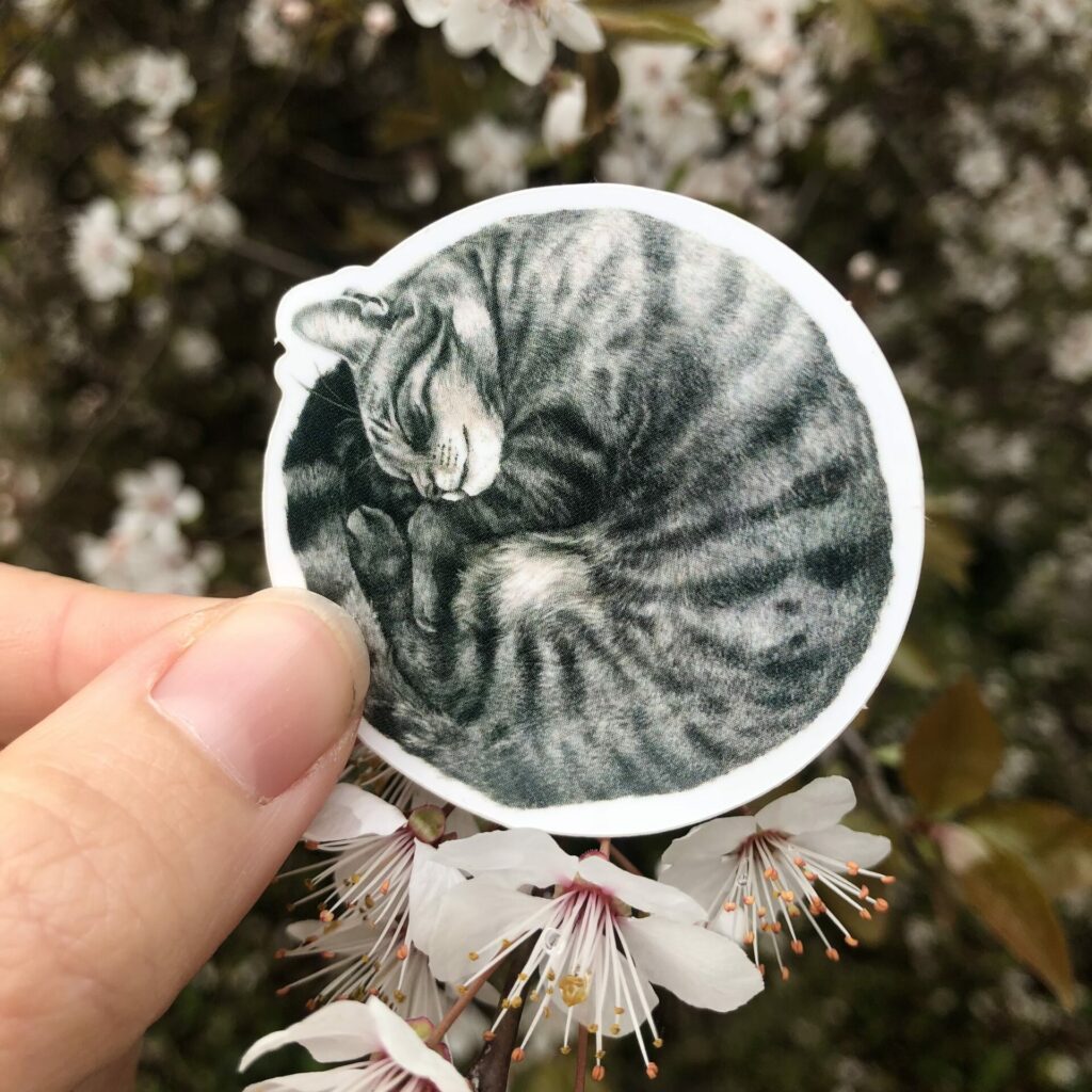 Sticker illustration chat de Valérie Etterlen, disponible à la boutique de créateurs Le Générateur à Strasbourg