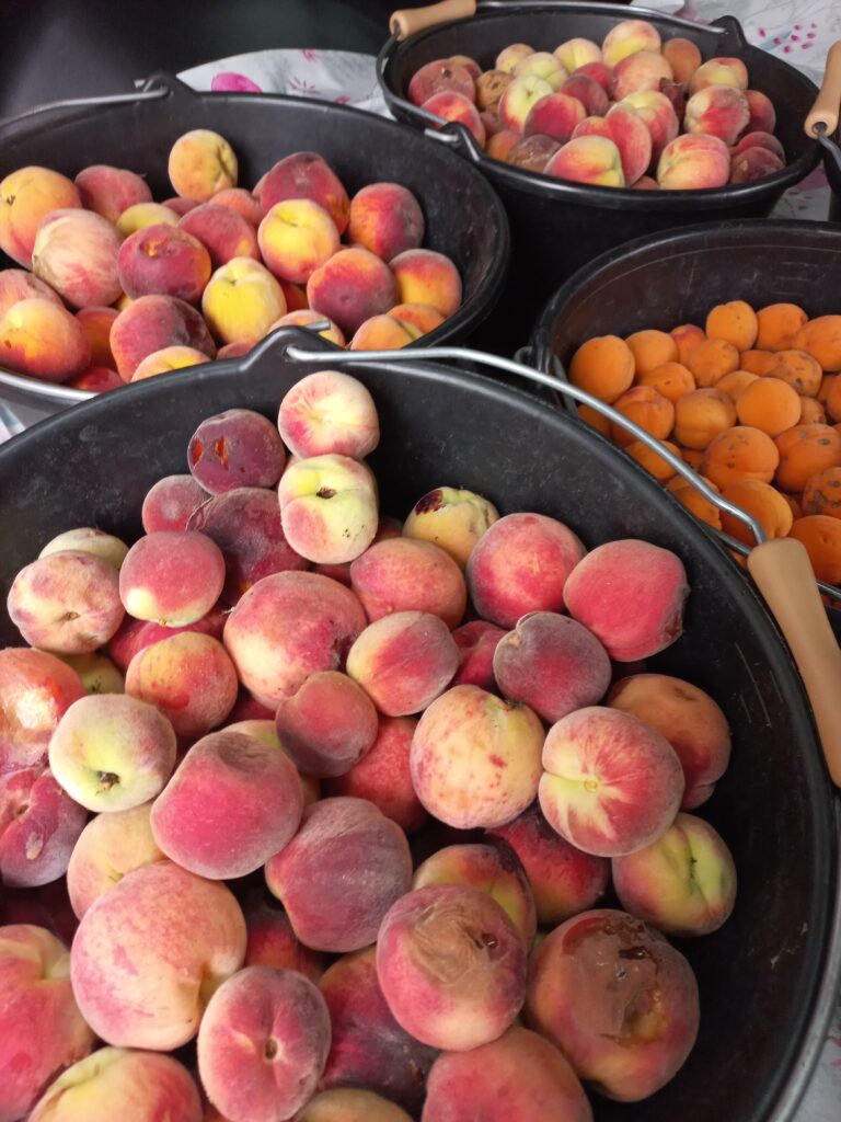 Fruits pour les confitures artisanales alsaciennes de Mes mets dans les orties
