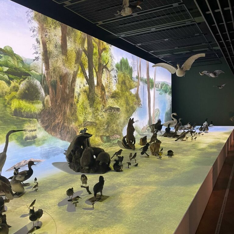 Lire la suite à propos de l’article Réouverture du Musée zoologique de Strasbourg : rencontre avec Valérie Etterlen qui a créé la fresque immersive de 17 mètres