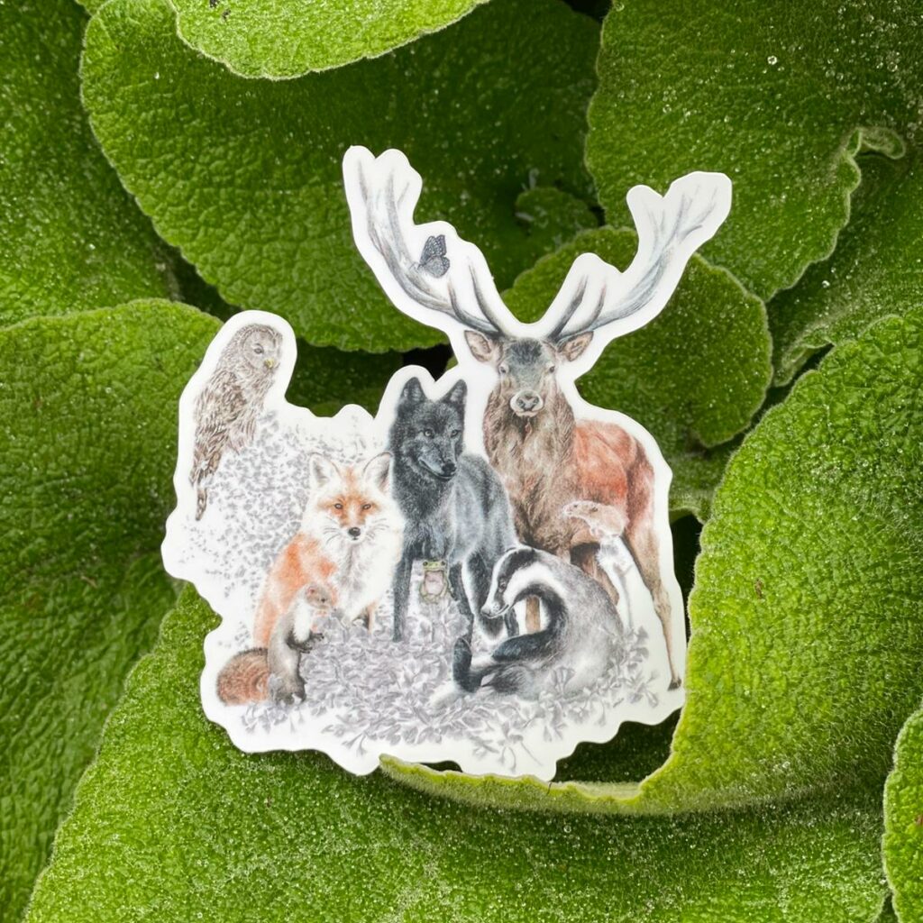 Sticker animaux de la forêt de Valérie Etterlen