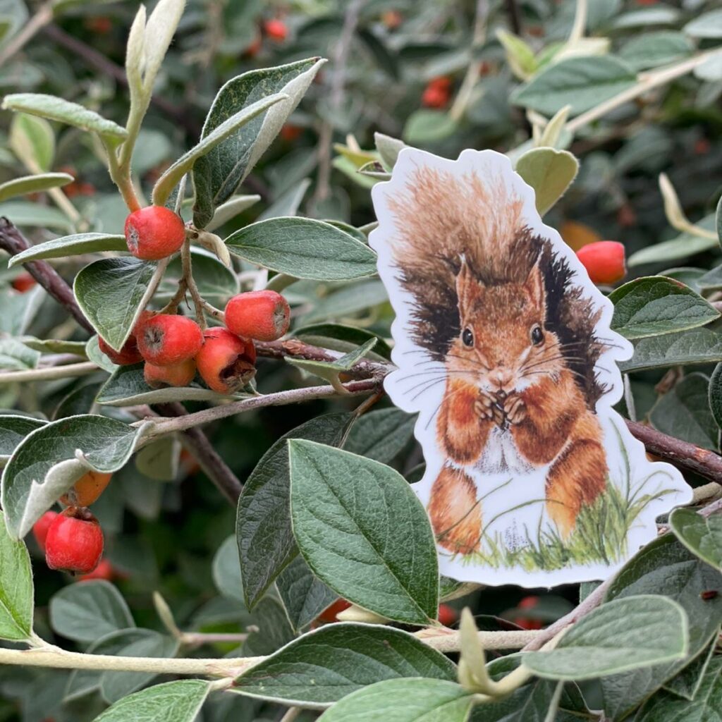 Sticker écureuil illustration automne de Valérie Etterlen